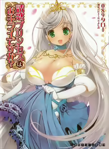 Yuuwaku Princess wa Okirai desu ka? — hentai manga cover on Fhentai