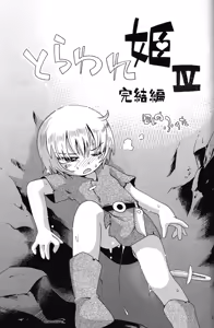 Page 3 of Toraware Hime IV Kanketsuhen | Captive Princess 4 - preview thumbnail
