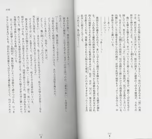 Page 8 of Shiro no Rakuin I - preview thumbnail