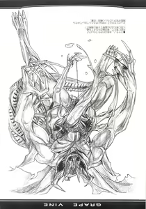 Page 7 of Grape Vine. - preview thumbnail