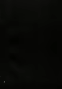 Page 3 of MKX - preview thumbnail