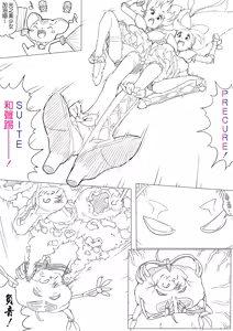 Page 79 of SUI-PRE - preview thumbnail
