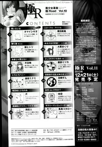 Page 262 of Bishoujo Kakumei KIWAME Road Vol.10 - preview thumbnail