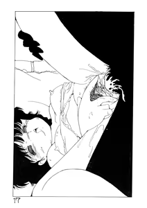 Page 17 of SUCH - preview thumbnail