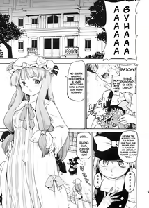 Page 5 of Touhou Ukiyo Emaki Patchouli Knowledge - preview thumbnail