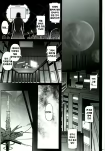 Page 3 of T-06 HAYATEN - preview thumbnail