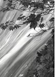 Page 4 of Rainbow Bridge - preview thumbnail