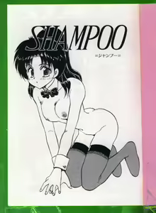 Page 3 of SHAMPOO - preview thumbnail