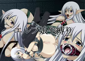 Elf Musume Namashibari - hentai manga cover image