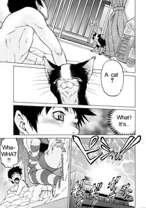 Page 8 of Miracle Kitty Punch - preview thumbnail