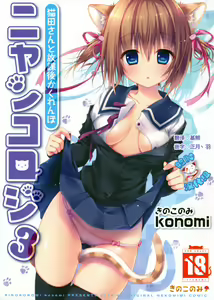Nyancology 3 -Nekota-san To Houkago kakurenbo- — hentai manga cover on Fhentai