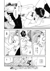 Page 244 of Manga Bangaichi 2009-01 - preview thumbnail