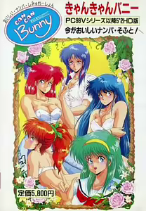 Can Can Bunny - hentai manga cover image