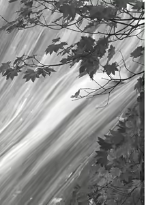 Page 3 of Rainbow Bridge - preview thumbnail