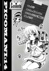 Page 3 of PICOMANI:14 - preview thumbnail