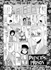 Page 5 of Princess Prison - preview thumbnail