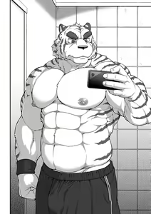Page 3 of 9ANIMALS MASSIVE TIGER - preview thumbnail