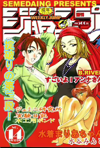 SEMEDAIN G WORKS vol.14 - Shuukan Shounen Jump Hon — hentai manga cover on Fhentai
