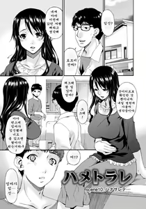 Page 176 of Hametorare - preview thumbnail