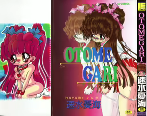 OTOMEGARI - hentai manga cover image