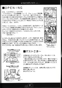 Page 5 of CARNELIAN vol.2  - Re·Leaf Settei Shiryou Tsudo - preview thumbnail