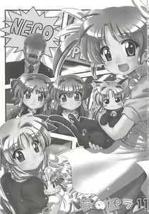Page 3 of Nano-para 11 - preview thumbnail