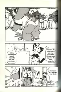 Page 9 of a tail condition - preview thumbnail
