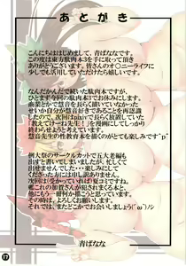 Page 17 of Touhou Daniku Hon 3 ~Doubutsu Musume-hen~ - preview thumbnail