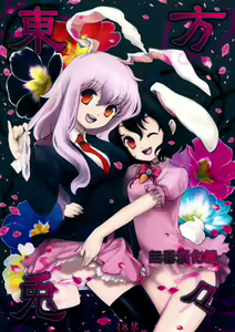 Touhou Usa Usa — hentai manga cover on Fhentai