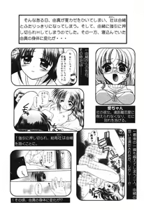 Page 25 of Pure Petit Vol.10 - preview thumbnail