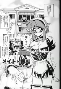 Page 8 of Maid Deluxe - preview thumbnail