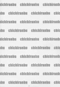 Page 3 of Chichicolle - preview thumbnail