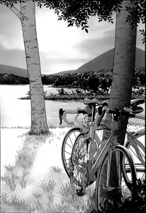 Page 16 of Inran Saddle - preview thumbnail