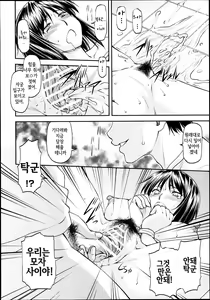 Page 61 of Gibo - preview thumbnail
