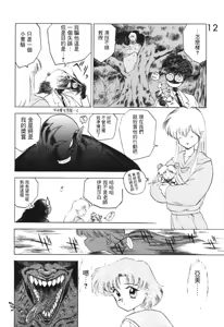 Page 12 of Submission Venus - preview thumbnail
