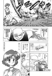 Page 32 of Submission Venus - preview thumbnail