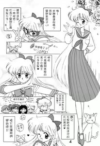 Page 4 of Submission Venus - preview thumbnail