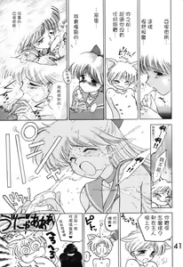 Page 41 of Submission Venus - preview thumbnail