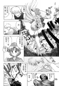 Page 56 of Submission Venus - preview thumbnail