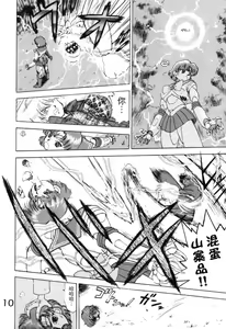 Page 10 of Submission Venus - preview thumbnail