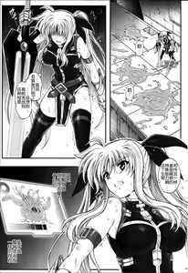 Page 3 of T-20 Fei Tas - preview thumbnail