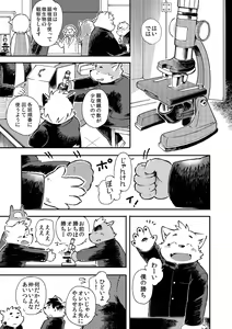 Page 8 of Mekko Rarekko 4 - preview thumbnail