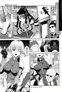 Page 102 of Hyakka Ryoran - preview thumbnail
