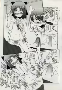 Page 16 of The Luxoflux IX - preview thumbnail