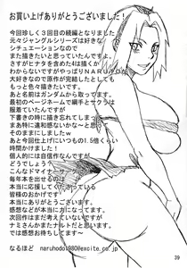 Page 40 of G3 - preview thumbnail