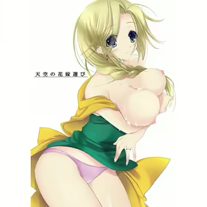 Tenkuu No Hanayome Erabi — hentai manga cover on Fhentai