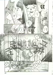 Page 84 of Hijou no Sekkan - Aa Mujou - preview thumbnail