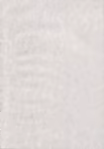 Page 3 of Iro-8 - preview thumbnail