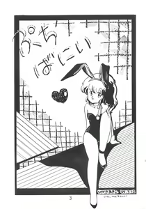 Page 3 of PETIT BUNNY Vol. 1 - preview thumbnail