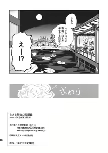 Page 17 of Toaru Jasen no kaikoroku - preview thumbnail